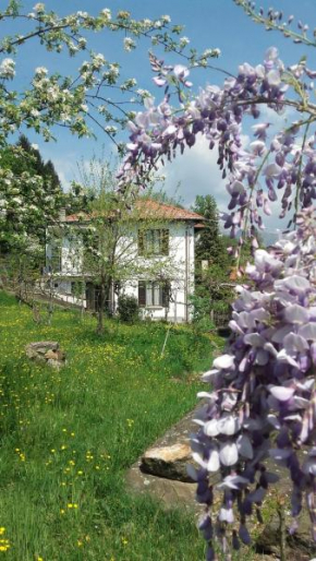 Отель B&B Al Mutpron  Казале-Корте-Черро